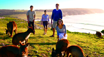 15340 Young Group Kangaroo Island TAUS edit tourism v3