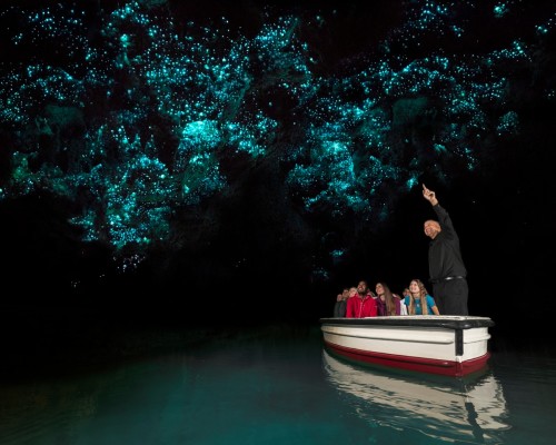 4 Waitomo Glowworm Caves Waikato