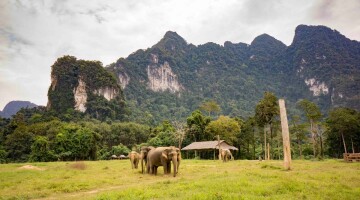 Elephant Hills Thailand