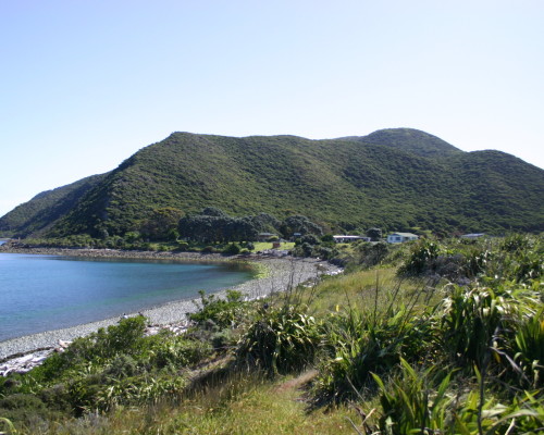 Kapiti Island3