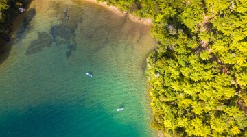 Marlborough sounds drone