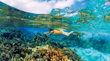 Paul Gauguin Snorkel coral reefs