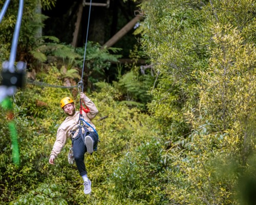 Rotorua Canopy Tours Have You Ever Miles Holden 2