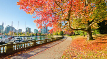 VancouverAutumn