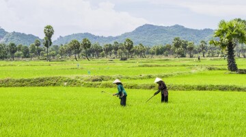 Vietnam mekong